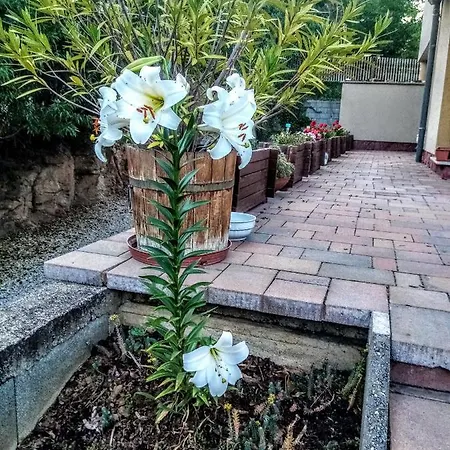 ゲストハウス Aqua Révfülöp