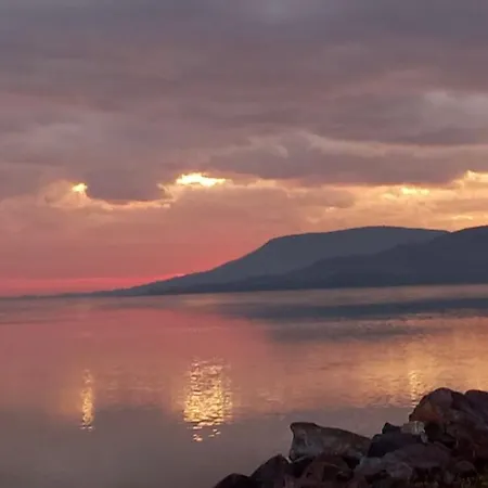 Aqua ゲストハウス