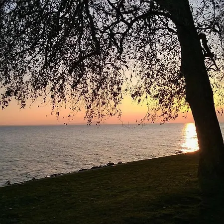 Aqua ゲストハウス *